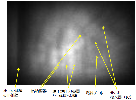 調査結果（解説付き）写真