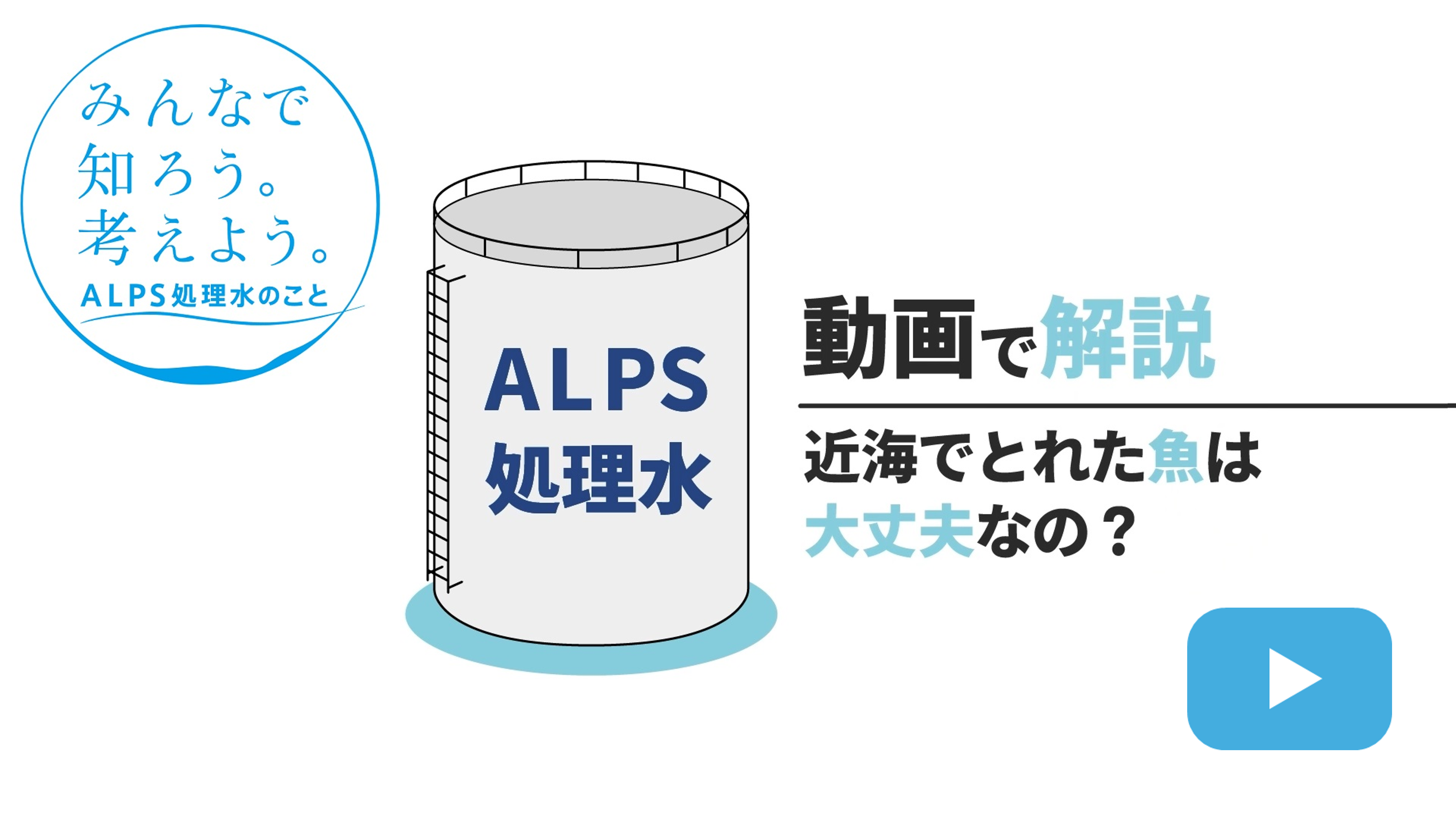 近海でとれた魚は大丈夫なの？