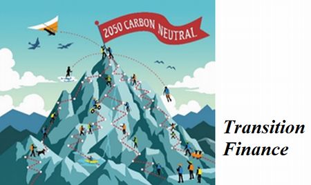 Toward a Transition to Decarbonization Transition Finance