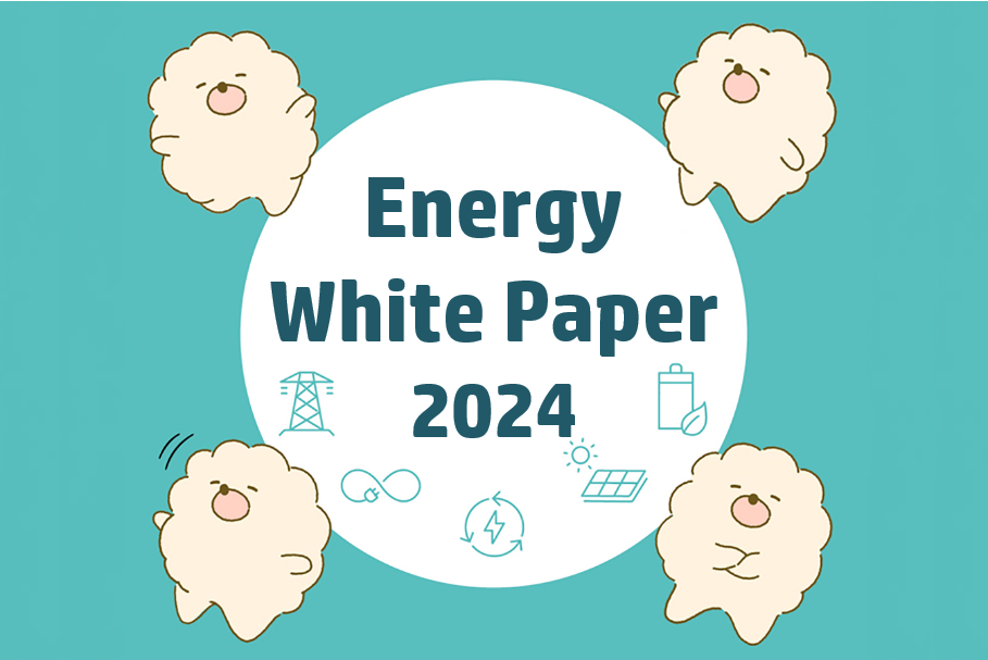 Energy White Paper 2024