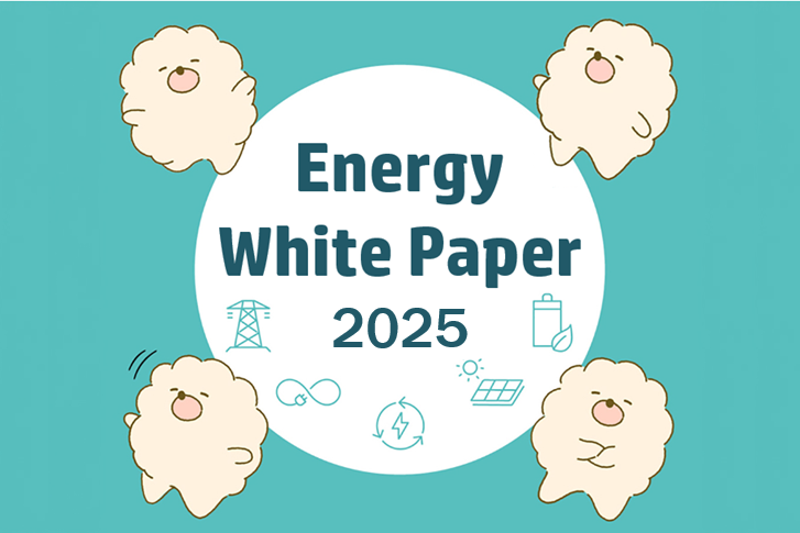 Energy White Paper 2025