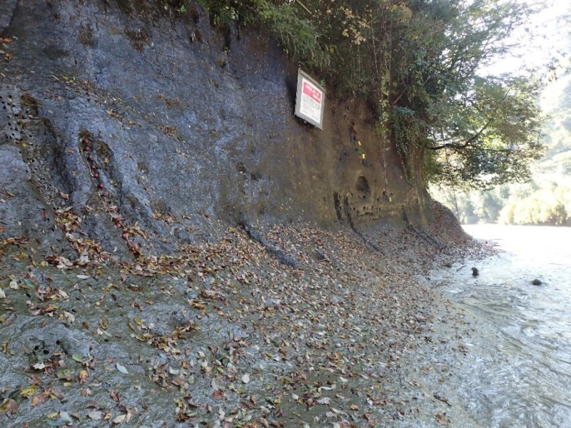 photo1
