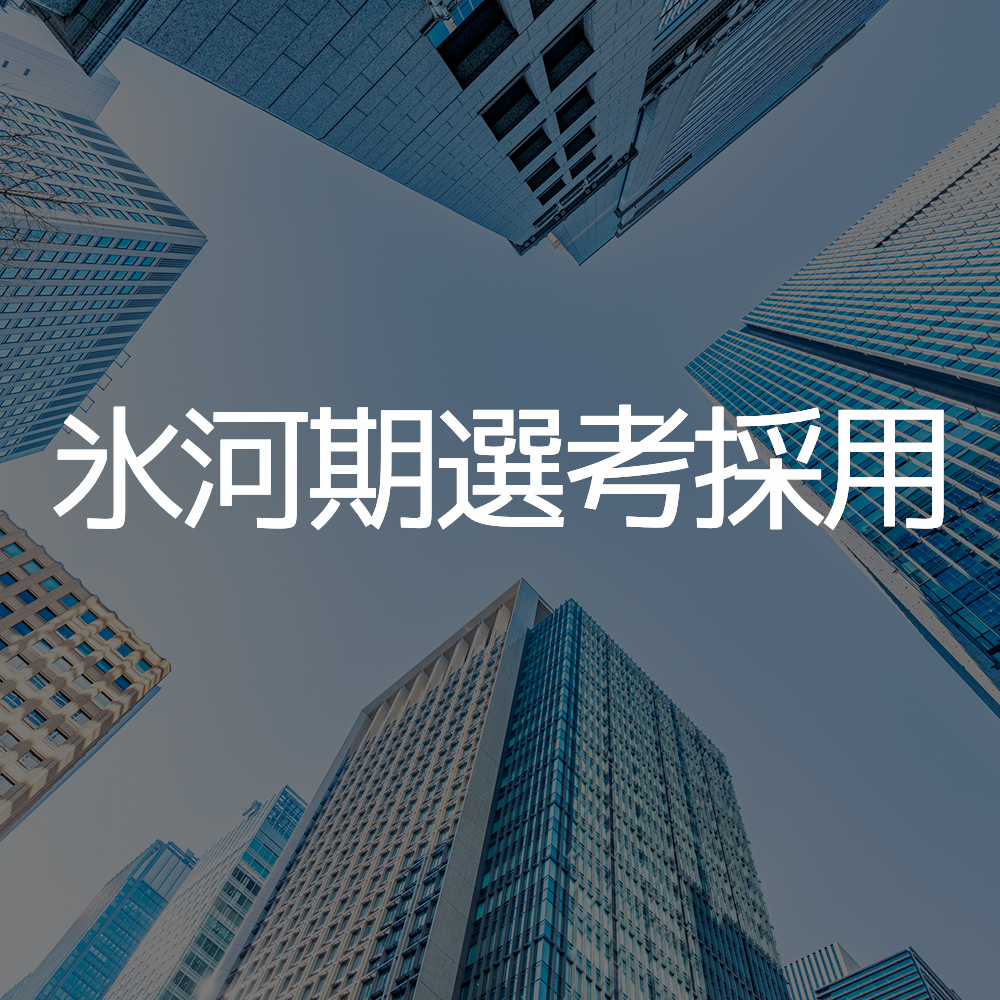 氷河期選考採用