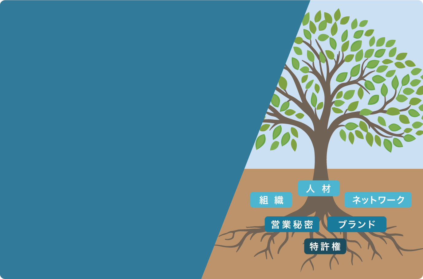 知的資産経営とはの背景画像