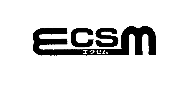 ECSM エクセム