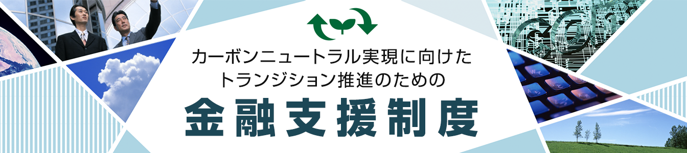 カーボンニュートラル実現に向けたトランジション推進のための金融支援制度