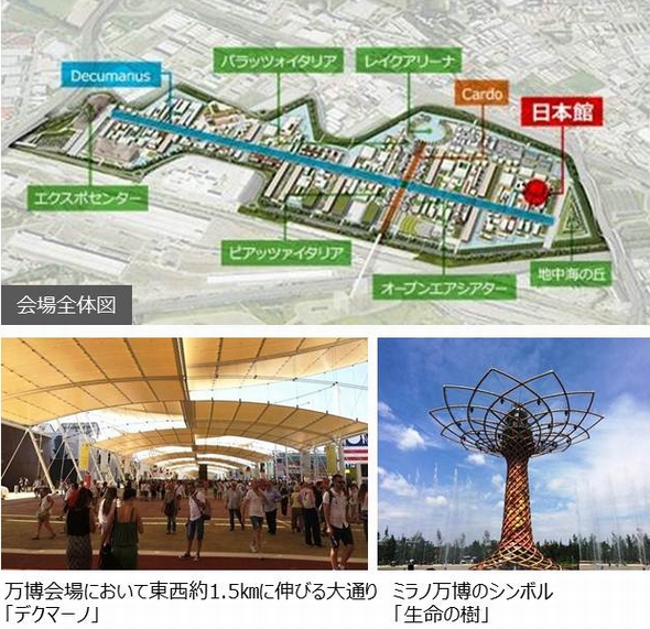 会場全体図、万博会場において東西約1.5㎞に伸びる大通り「デクマーノ」、ミラノ万博のシンボル「生命の樹」