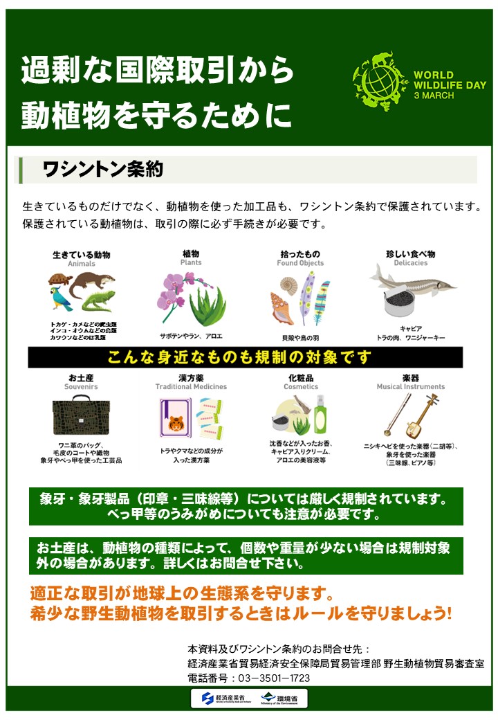 過激な国際取引から動植物を守るために