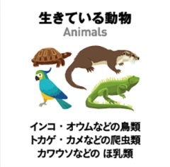 生きている動物