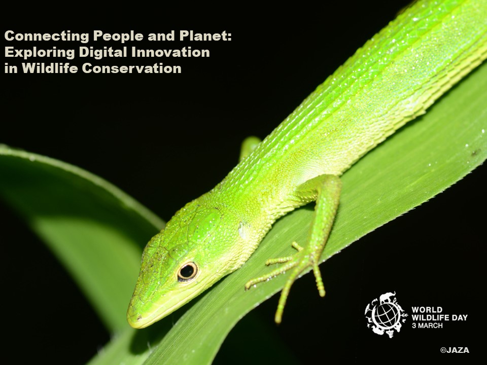 2024年野生生物の日