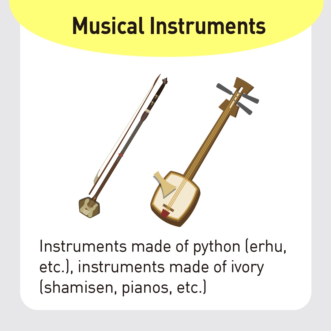 musical instrument