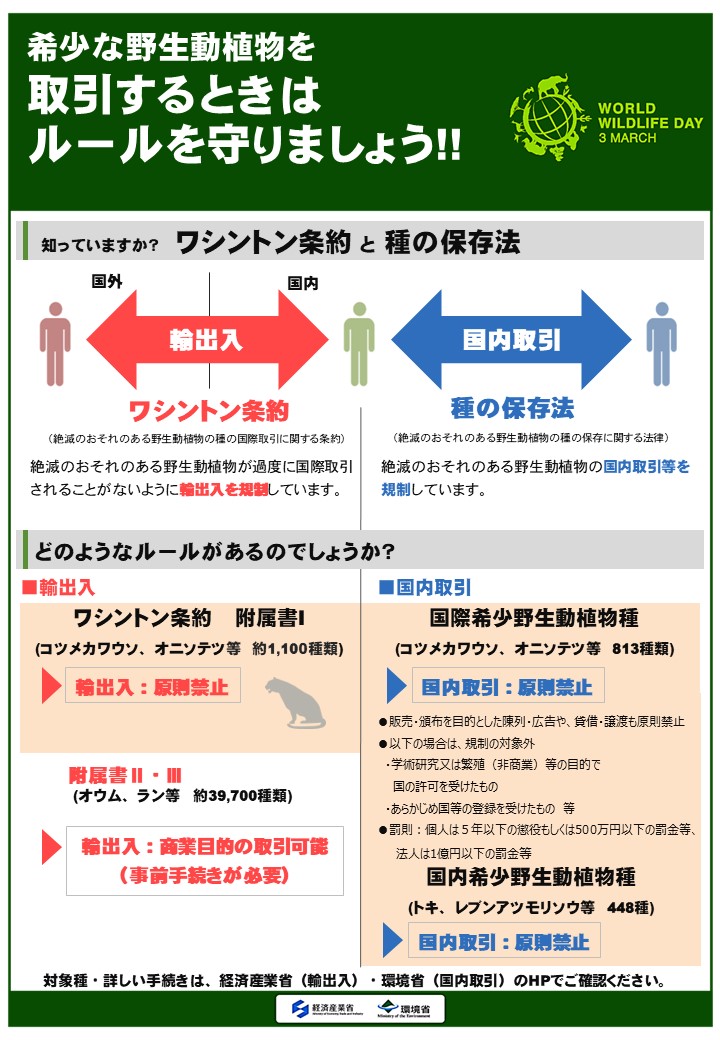2024年野生生物の日