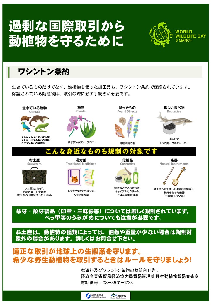 2024年野生生物の日
