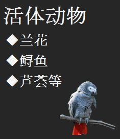 活体动物　蟒蛇　变色龙　鹦鹉等