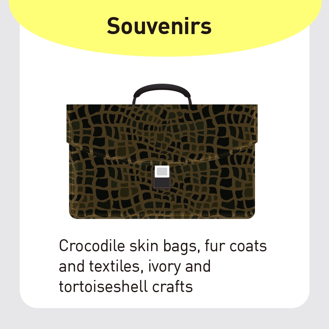 souvenir