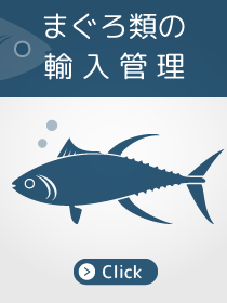 まぐろ類の輸入管理