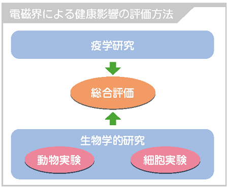 電磁界による健康影響の評価方法