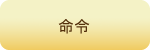 命令