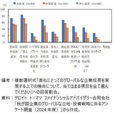 グローバルな企業成長の機会（企業規模別）の図