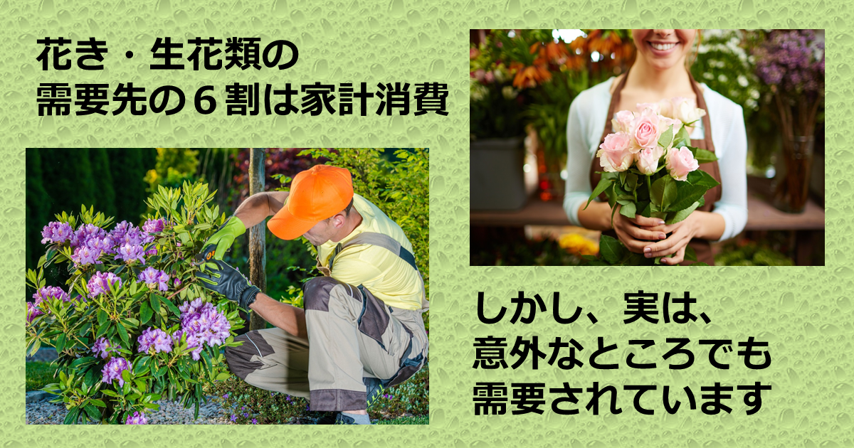 生活の潤い だけではなく 実は 町の潤い も演出する産業である 花き 花木類 産業 その他の研究 分析レポート 経済産業省