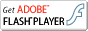 最新のAdobe Flash Playerをダウンロードする
