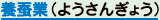 用語集へ