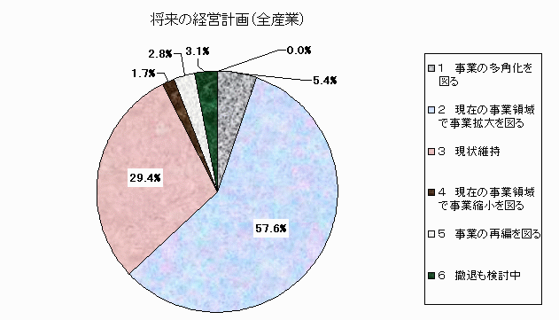 将来の経営計画（全産業）