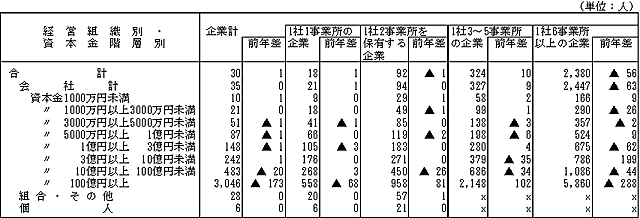 第5表　企業の経営組織別・資本金階層別1企業当たり従業者数
