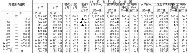 大規模小売店舗内小売商店の売場面積規模別、業種別の年間販売額（その１）
