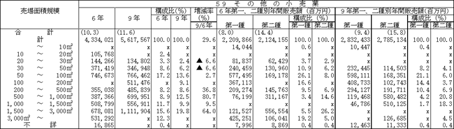 大規模小売店舗内小売商店の売場面積規模別、業種別の年間販売額（その２）